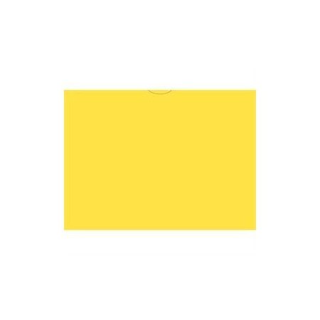 ASP Vhicl Deal Envelopes (Deal Jackets)Plain, 9" X 12", 100 Per Pk:Yellow Pk 5210